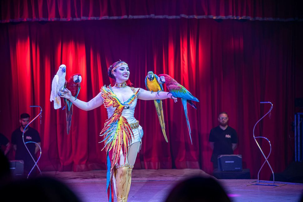 Die heimlichen Stars sind in der diesjährigen Show, die Papageien von Laura Urunova. Bild: Nüßle