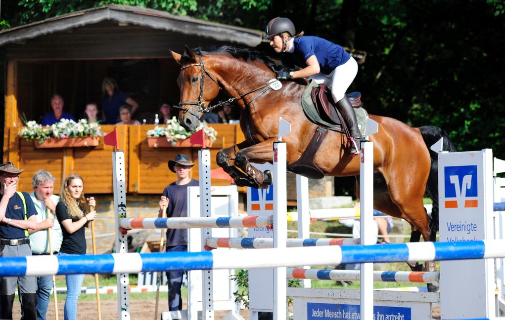 20.6.19 Holzgerlingen - Lisa Lacher vom RFV Dagersheim auf "Samira"