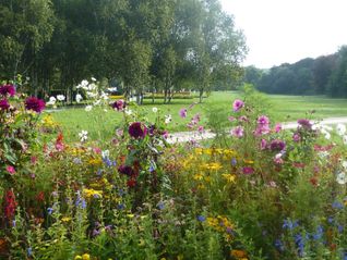 Der Sommerhofenpark ist seit der Landesgartenschau 1990 ein zentrales Naherholungsgebiet für Sindelfingen.