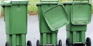 Bei Hitze und Feuchtigkeit fühlen sich Insekten und Maden sauwohl in der Tonne.