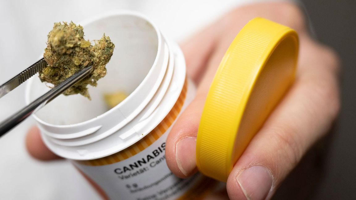 Cannabis kann seit 2017 als Arzneimittel verschrieben werden. (Archivlbild)