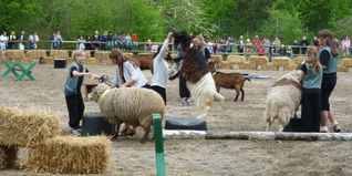 Das Archivbild zeigt eines der Fest auf der Jugendfarm.