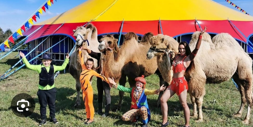 Pferde, Ponys, Lamas, Ziegen, Esel, Kamele und Hunde sind mit dabei.
