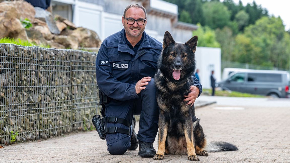 Dieser Polizeihund erschnüffelt Datenträger.