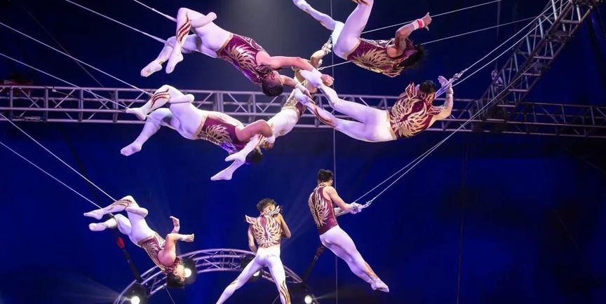 Weltklasse am Trapez: Flying Gonzalez.