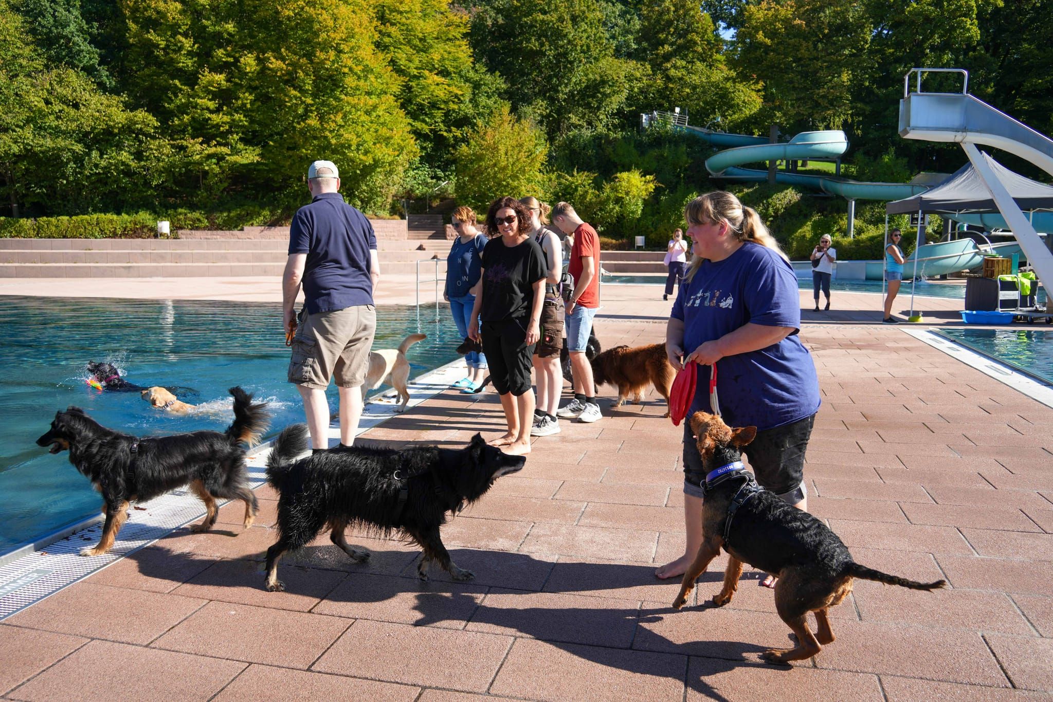 Ein Spaß für Hund und Mensch.