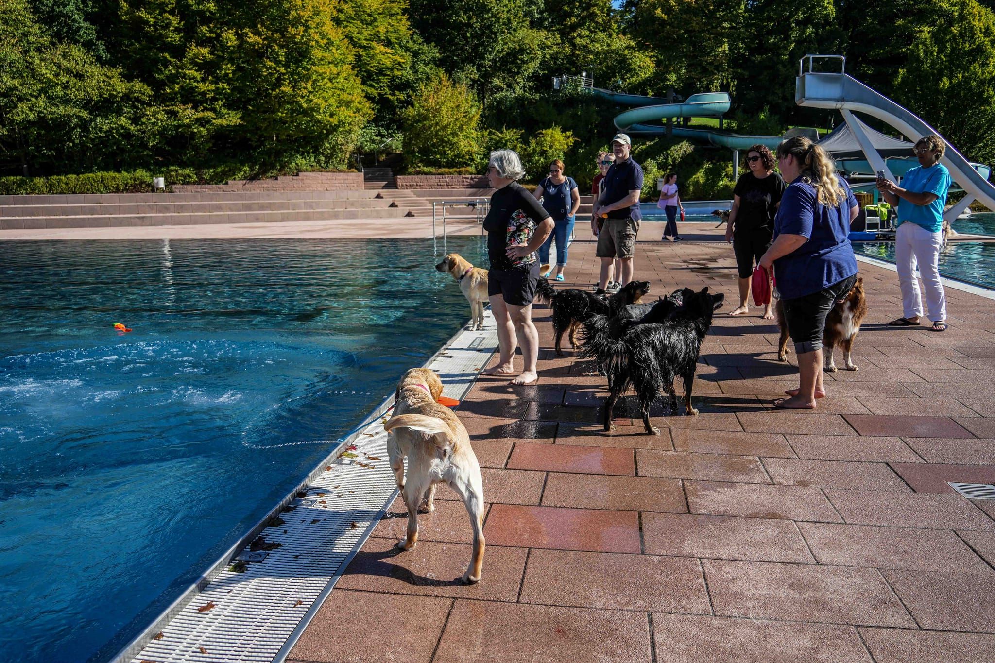 Ein Spaß für Hund und Mensch.