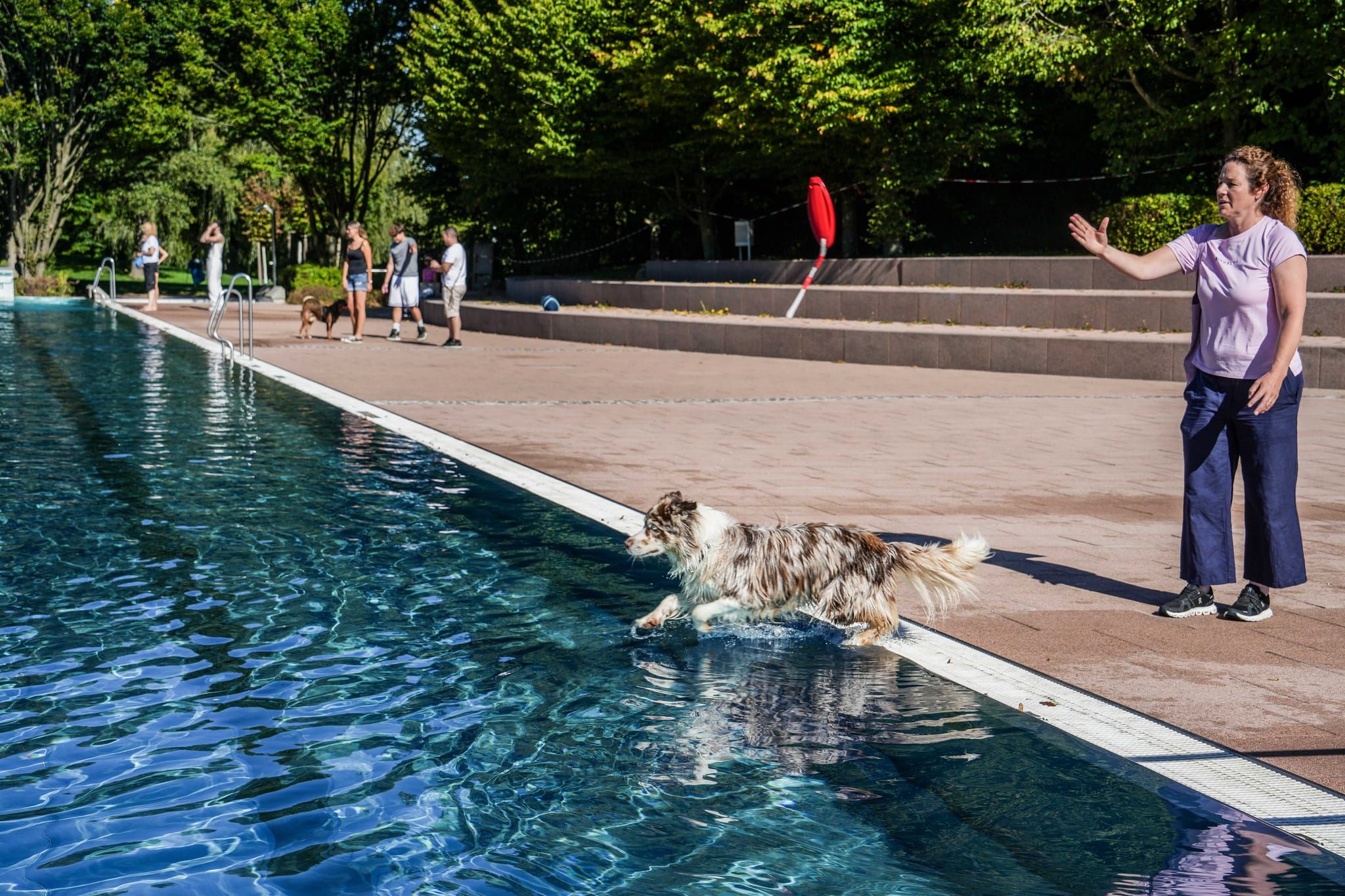 Ein Spaß für Hund und Mensch.