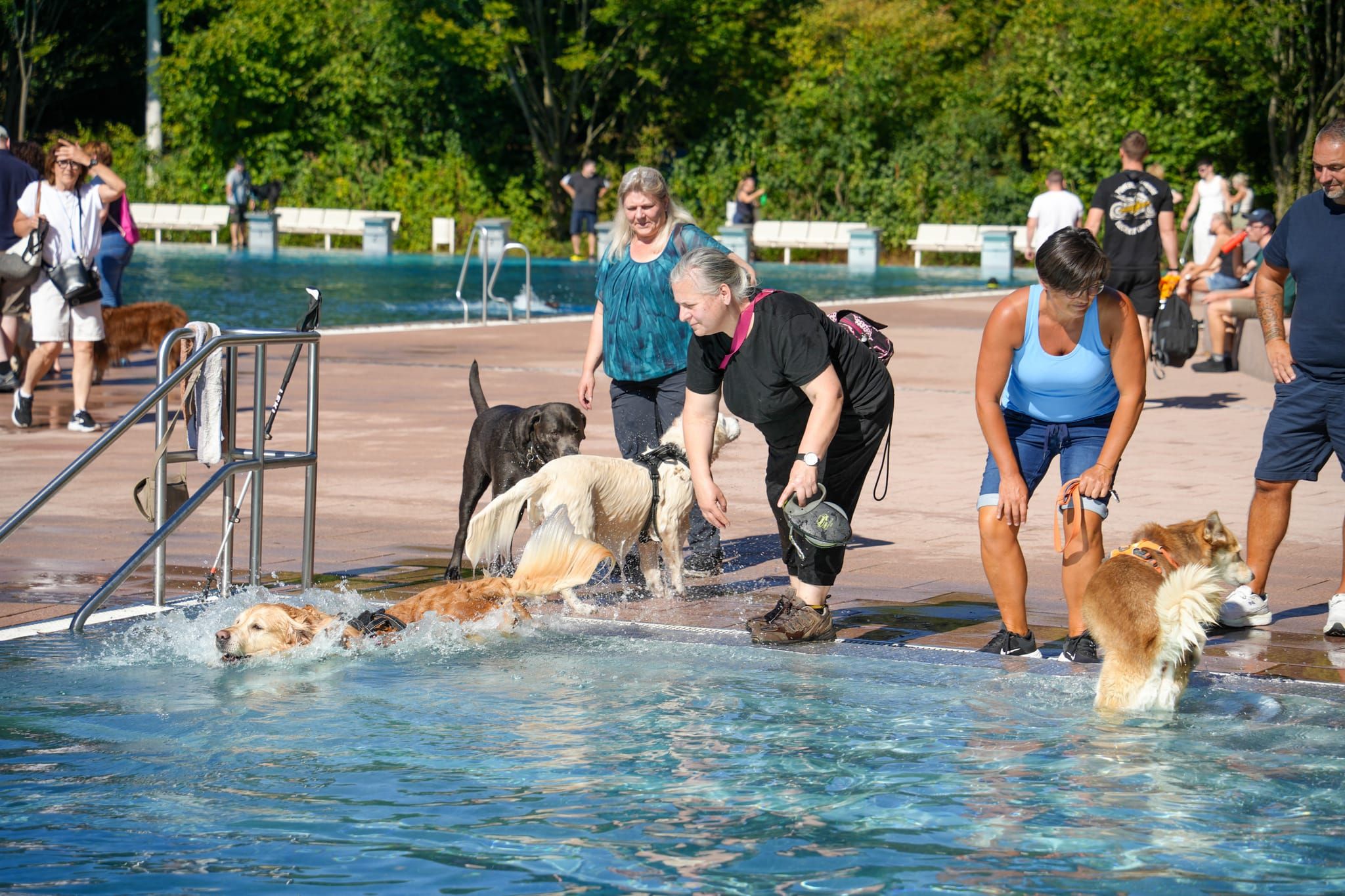 Ein Spaß für Hund und Mensch.
