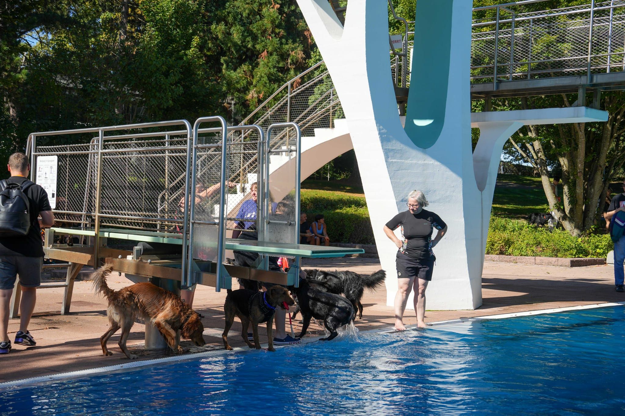 Ein Spaß für Hund und Mensch.