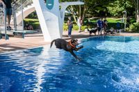 Ein Spaß für Hund und Mensch.