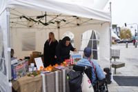 Beim Martinimarkt in Böblingen war viel geboten.