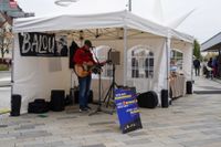 Beim Martinimarkt in Böblingen war viel geboten.