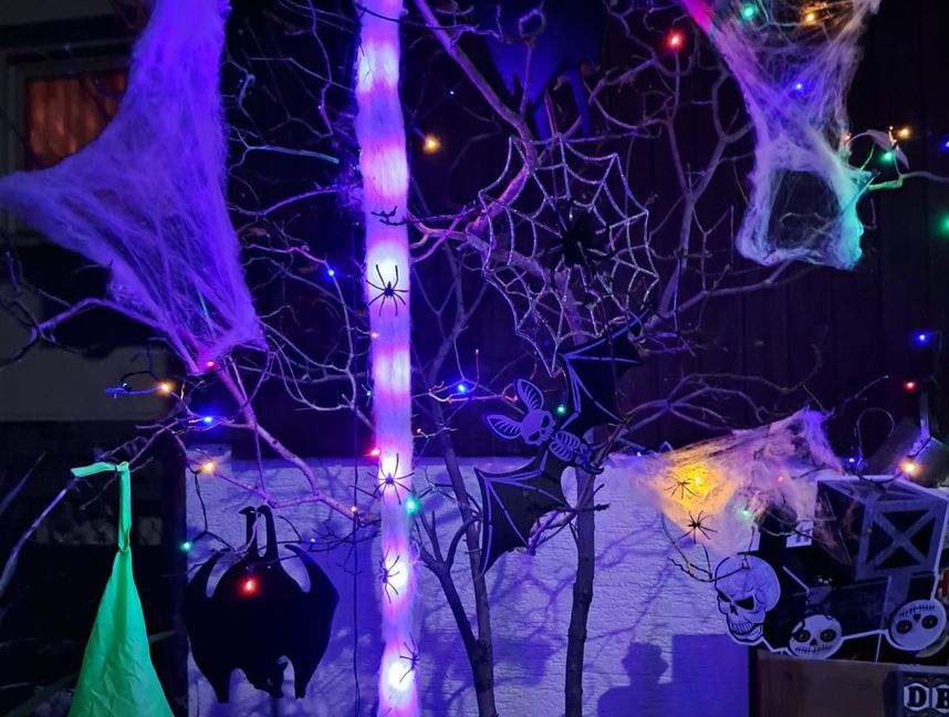 Auch Spinnweben dürfen zu Halloween nicht fehlen.