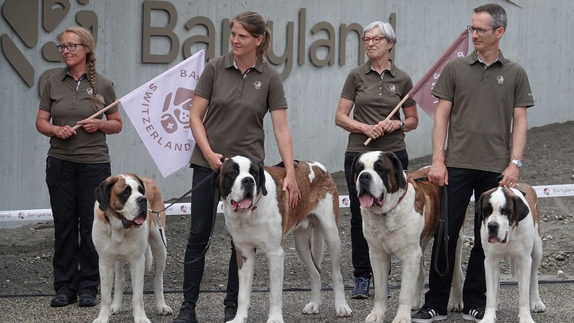 Die Sache mit den Fässchen am Hals der Bernhardiner - erfunden.