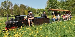 Beim Sindelfinger Dampflokfest rollen am 30. und 31. August rund 40 liebevoll gepflegte Modellloks aus dem In- und Ausland durch den Sommerhofenpark.