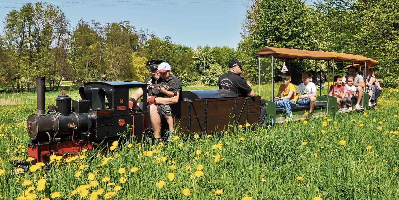 Beim Sindelfinger Dampflokfest rollen am 30. und 31. August rund 40 liebevoll gepflegte Modellloks aus dem In- und Ausland durch den Sommerhofenpark.