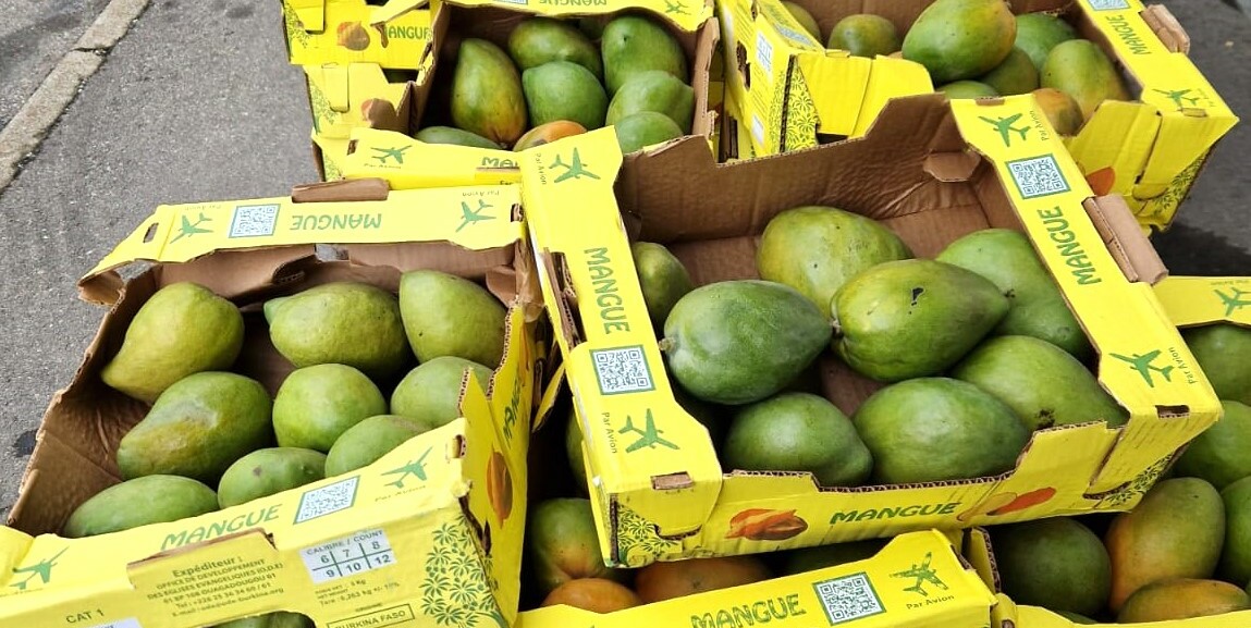 Die grünen Mangos waren innen reif.