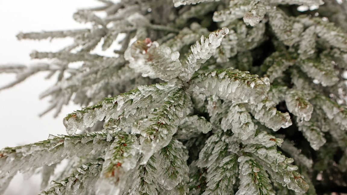 Nach viel Regen soll es am Wochenende in Teilen Baden-Württembergs schneien – und glatt werden. (Symbolfoto)