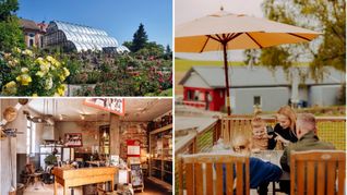 Schöne Ausflugsziele: blühende Pracht auf der Blumeninsel Mainau (o.li.), Familienzeit beim Camping (re.) und die letzte erhaltene Glashütte im Schwarzwald (u.li.)