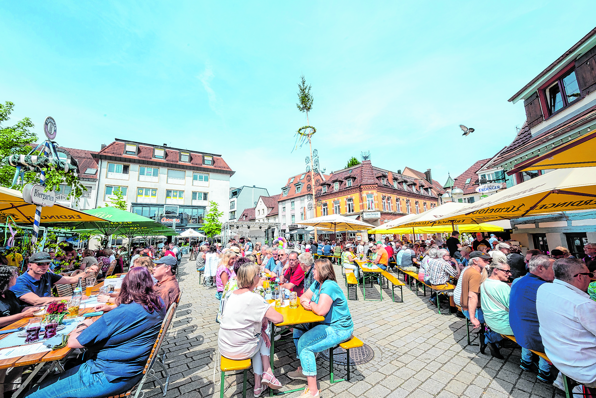 Volle Reihen auf dem Wettbachplatz.