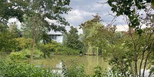 Der Murkenbachsee beim Böblinger Hallenbad bietet viel Natur, die es auch in Zukunft zu bewahren gilt. Bild: Steiner