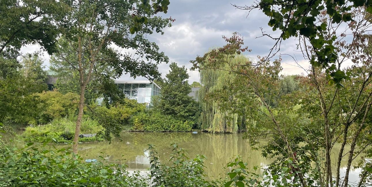 Der Murkenbachsee beim Böblinger Hallenbad bietet viel Natur, die es auch in Zukunft zu bewahren gilt. Bild: Steiner