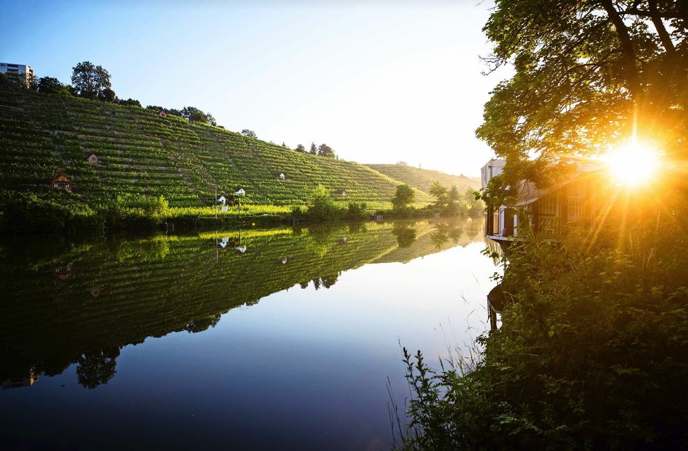 In wenigen Jahren soll auch der Neckar überall einen guten Zustand erreicht haben – aber das wird wohl nicht klappen.