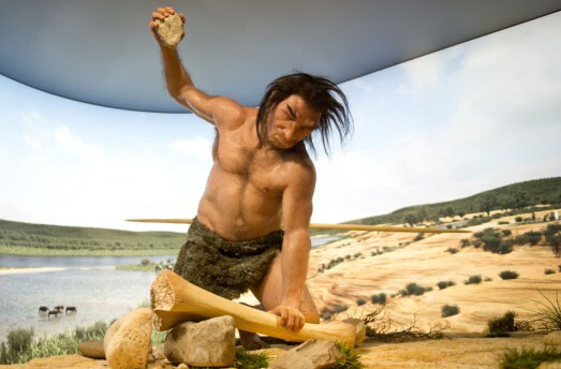 Der Homo heidelbergensis erlebte Warmzeiten, wie hier im Staatlichen Museum für Naturkunde Stuttgart dargestellt, aber auch kältere Phasen, in denen große Teile Europas vergletschert waren.