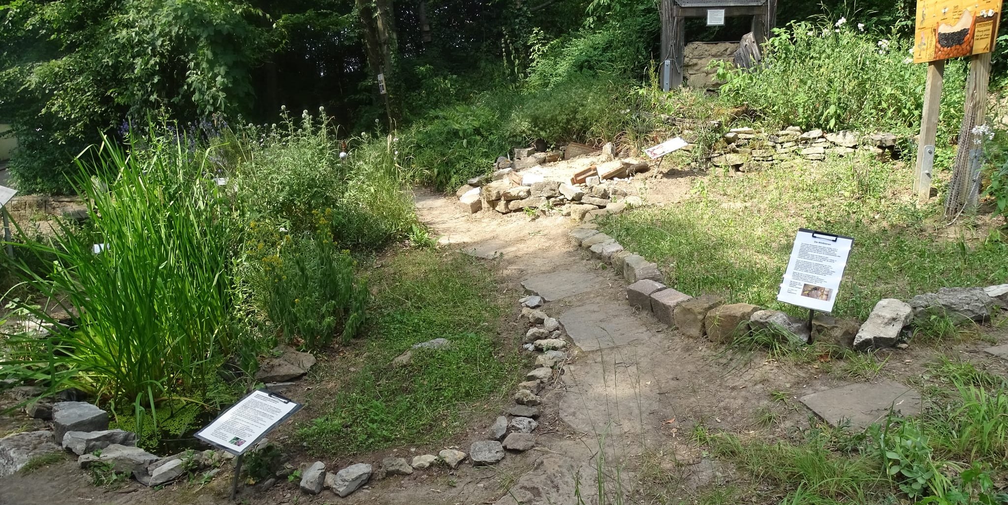 Der N.E.S.-Naturgarten direkt am Vogelzentrum bietet Wildbienen vielseitige Nist- und Nahrungsmöglichkeiten und den Besuchern anschauliche Praxisbeispiele für den eigenen Garten.
