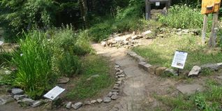 Der N.E.S.-Naturgarten direkt am Vogelzentrum bietet Wildbienen vielseitige Nist- und Nahrungsmöglichkeiten und den Besuchern anschauliche Praxisbeispiele für den eigenen Garten.