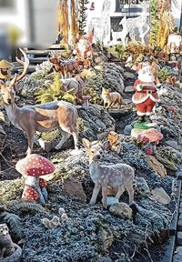 Sanja Belan, Sindelfingen