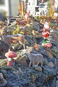 Martina Eisele, ?? 	Bild: Martina Eisele