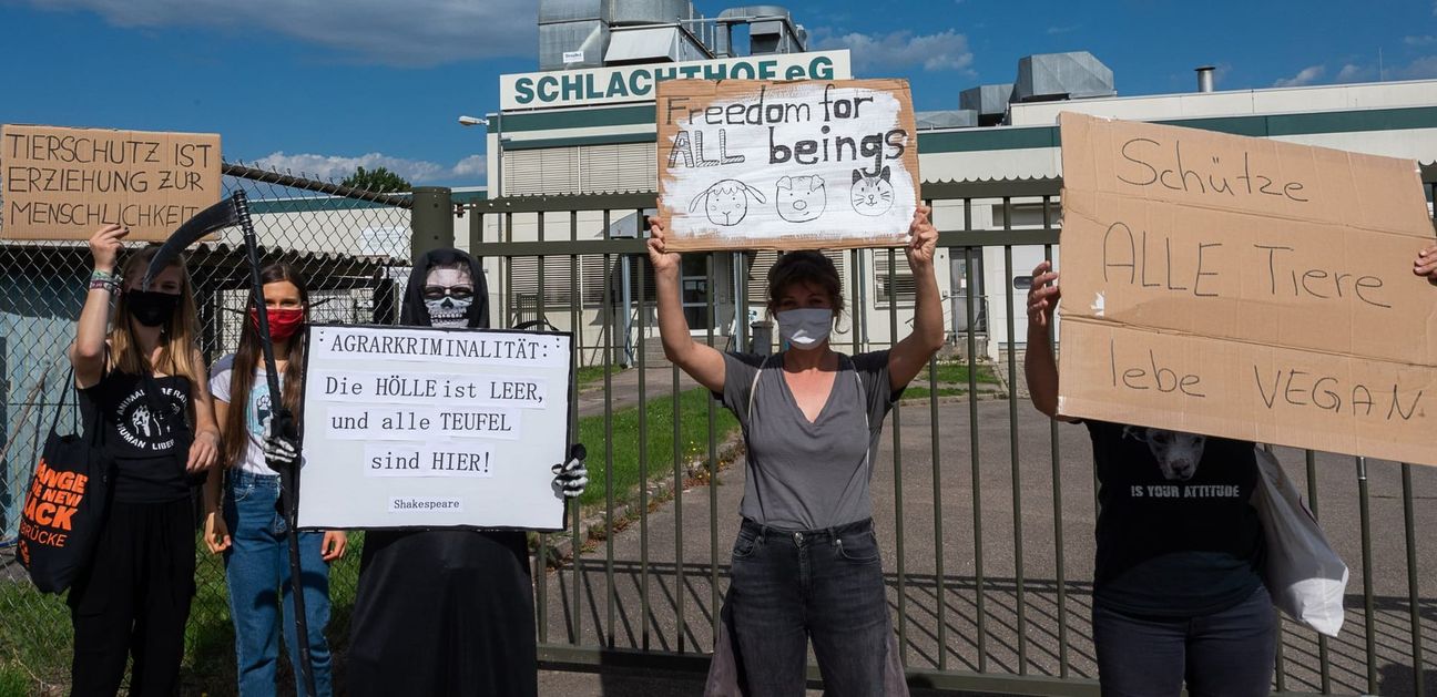 Gegen die Zustände im Gärtringer Schlachhof wurde vor fünf Jahren demonstriert. Bild: Wolfgang Schmidt