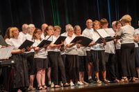 So war der Sindelfinger Partnerschaftsabend in der Stadthalle, traditionell immer einen Tage bevor das Sindelfinger Straßenfest losgeht.