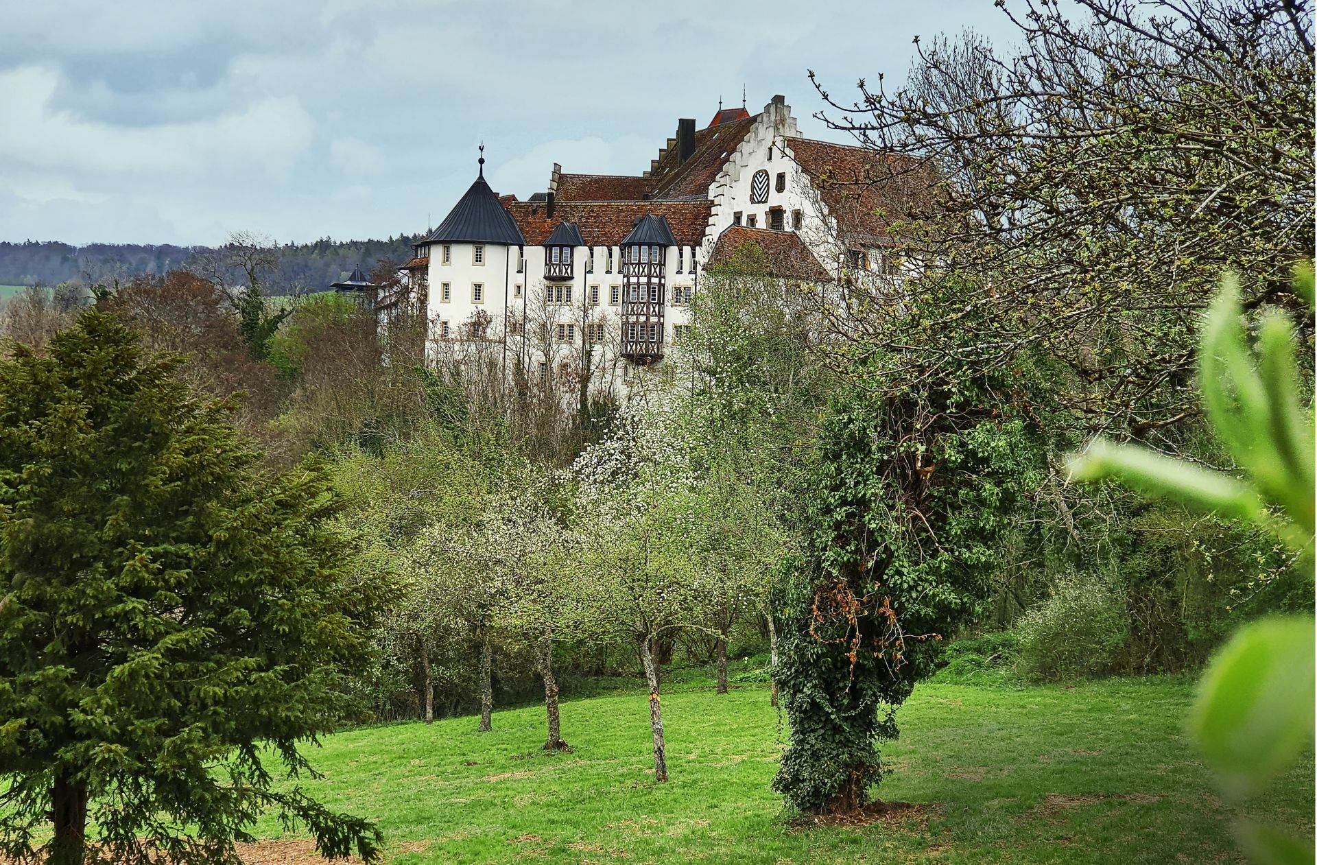 Das Blumenfelder Schloss steht mächtig in der Hegaulandschaft. Foto: /Eberhard Wein