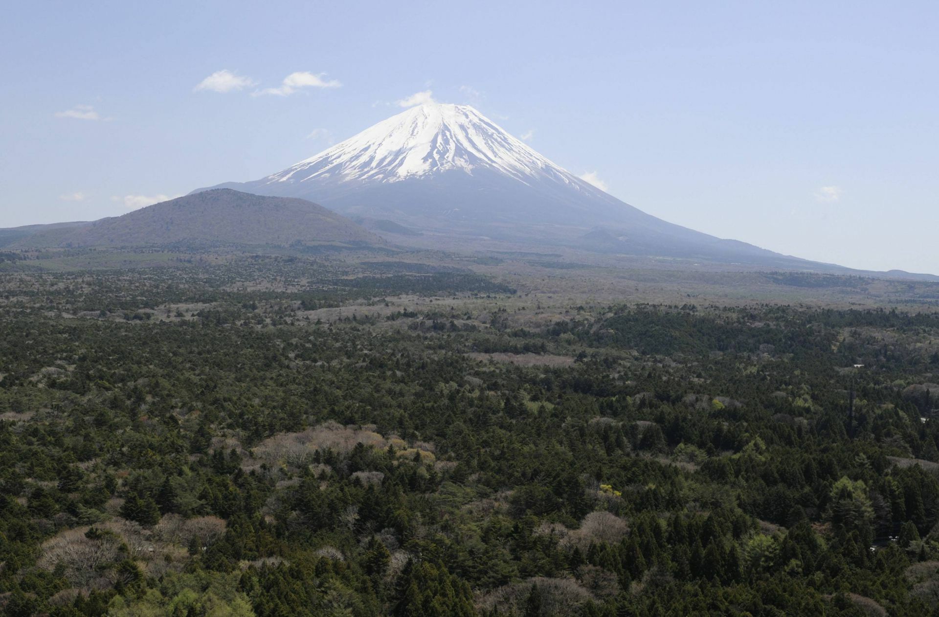 Am Fuße des Mount Fuji – dem höchsten Berg Japans – liegt der als „Selbstmordwald“ bekannte Aokigahara Wald.