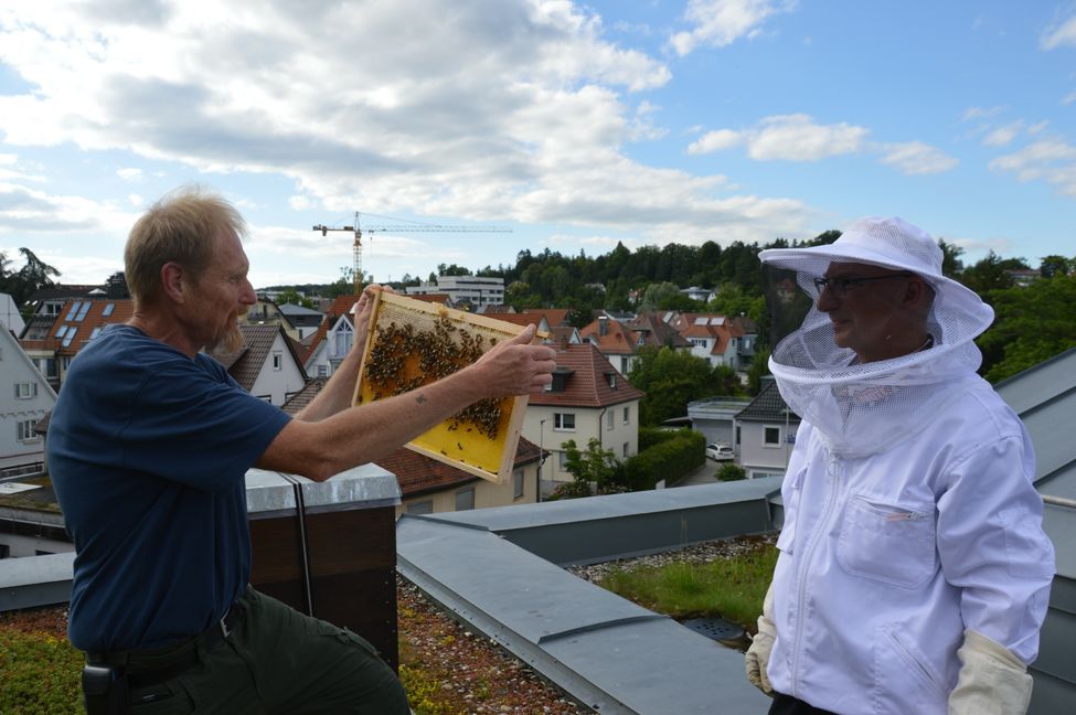 Rolf Fink (links) und Roland Just kümmern sich um ihre fleißigen Bienchen.Bild: Wegner