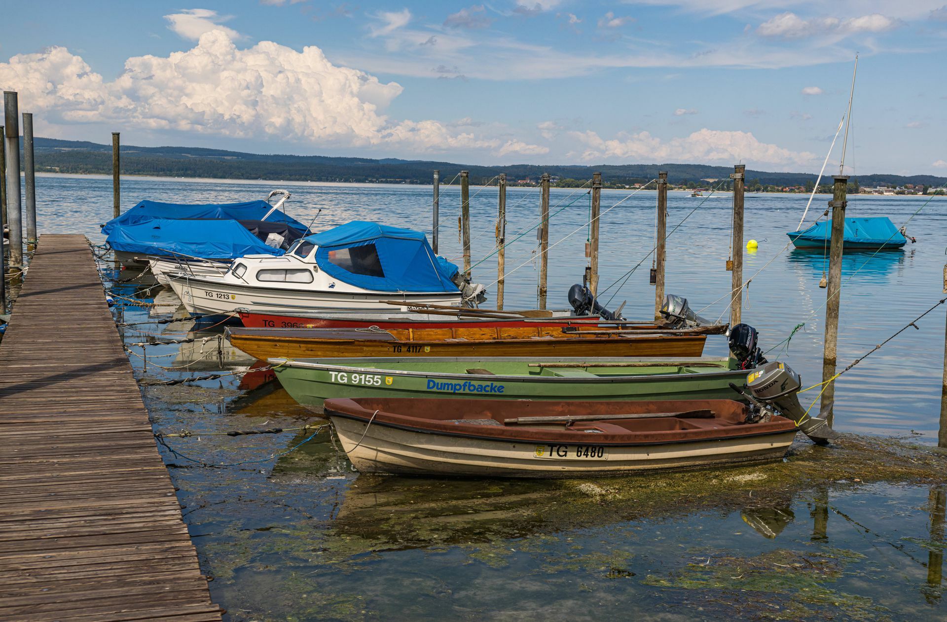 Ein Blick in den Beringer Hafen auf der Schweizer Seite des Untersees, welcher zum Bodensee gehört. Auch hier fehlt nicht mehr viel, bis die Boote auf dem Grund liegen.