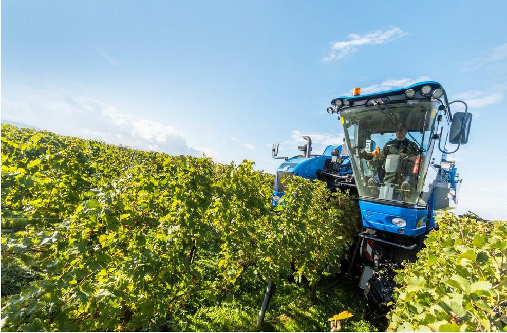 Bis zur Ernte der Weinreben muss häufig gespritzt werden – die EU will die Menge an Pestiziden nun deutlich verringern.