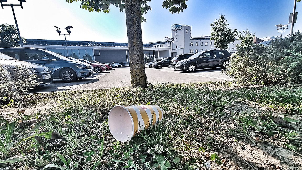 Abfall gehört nicht in Grünstreifen. Bild: Hamann