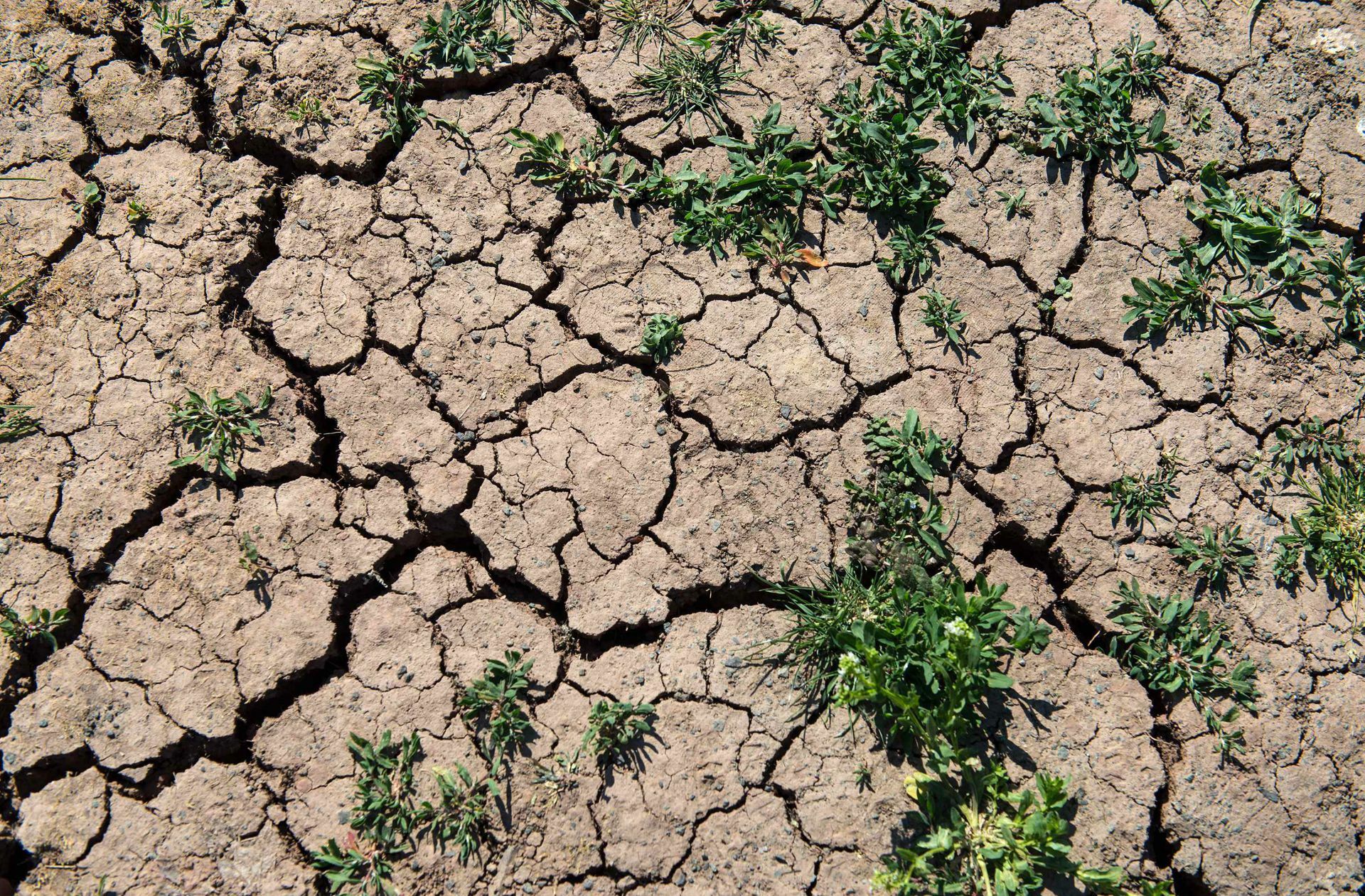 Der jüngste Bericht des UN-Klimaprogramms zeigt: Vom 1,5-Grad-Ziel ist die Welt derzeit noch meilenweit entfernt.
