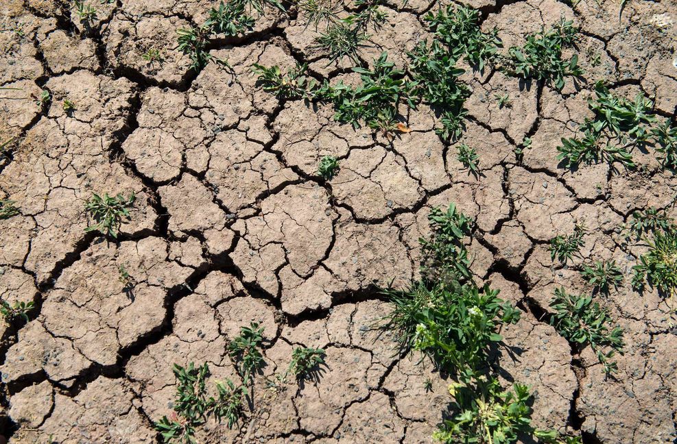 Der jüngste Bericht des UN-Klimaprogramms zeigt: Vom 1,5-Grad-Ziel ist die Welt derzeit noch meilenweit entfernt.