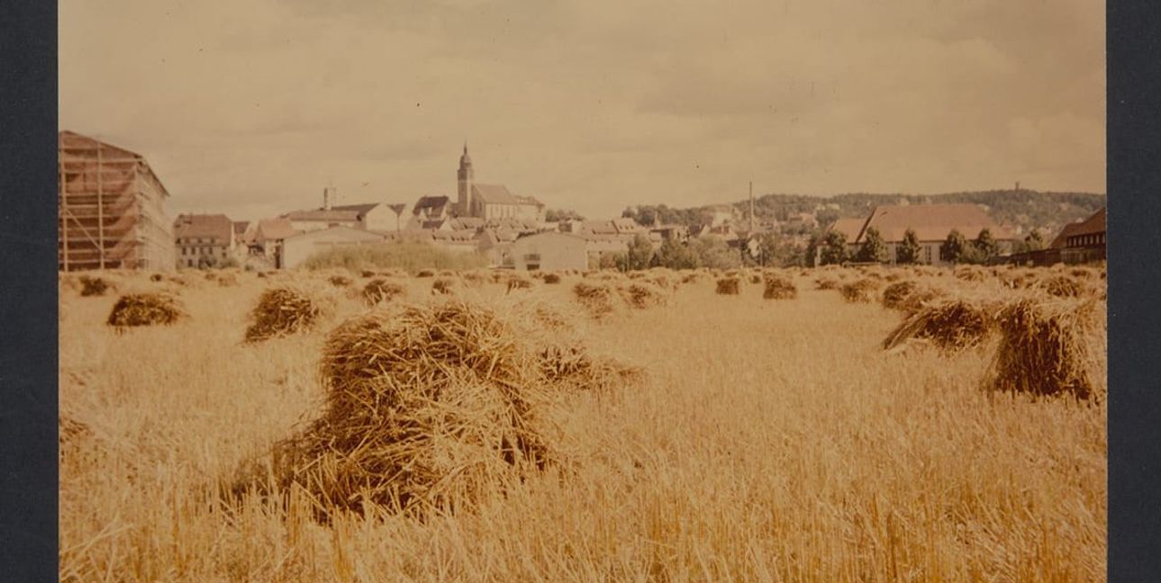 Das erste Böblinger Stadtforum thematisiert ab 20. September den Klimawandel in Böblingen in Vergangenheit, Gegenwart und Zukunft.
