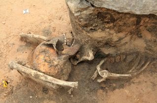 Wiedergängergrab: Bei Ausschachtungen für eine ICE Trasse in Klein Gräfendorf in Sachsen fanden Archäologen das Skelett eines Mannes, das  mit riesigen Steinen beschwert worden ist.