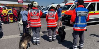 Fieberhaft suchten die Einsatzkräfte nach dem vermissten Baby.