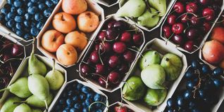 Ein bunter Obstsalat bringt die ganze Vielfalt der heimischen Sommerfrüchte auf den Teller.