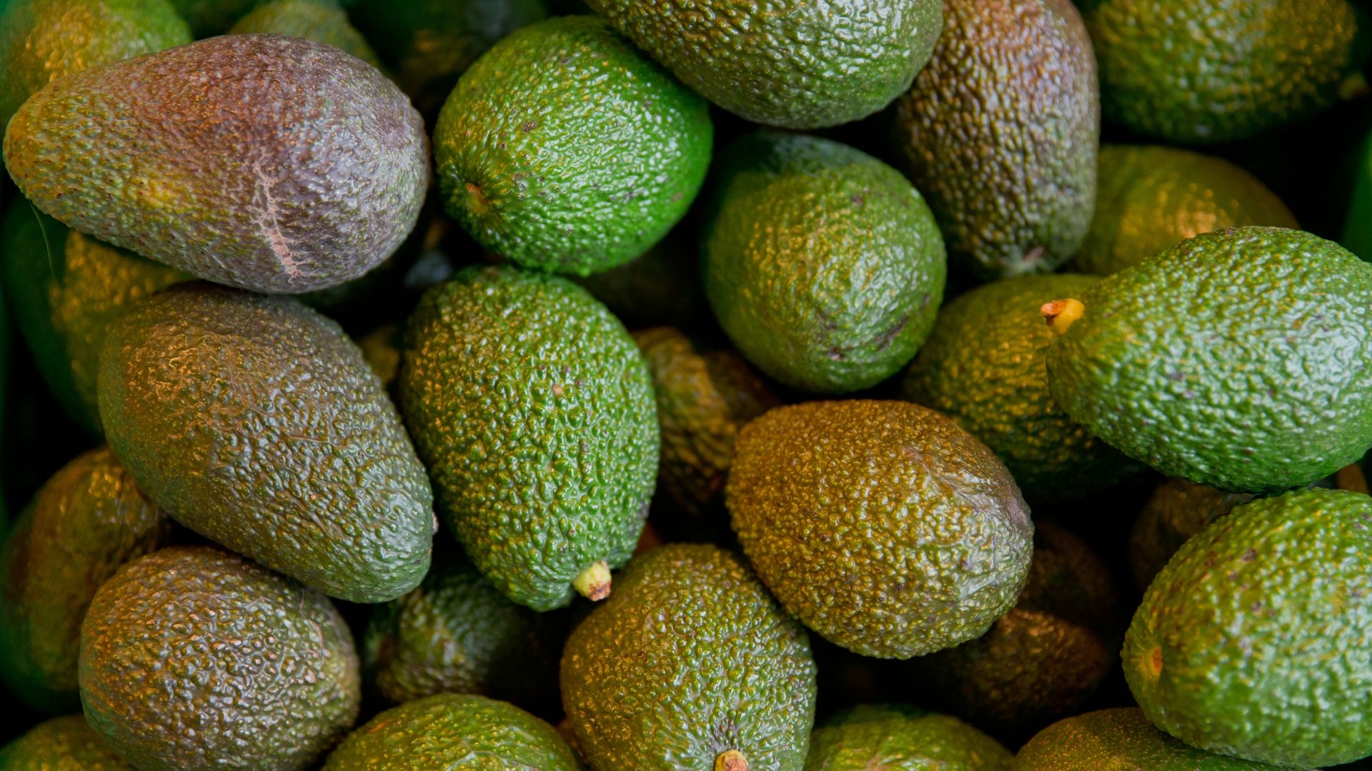 Weil die Avocado ein warmes Klima braucht, legt sie oft Tausende Kilometer zurück, bevor sie im Einkaufskorb von Verbrauchern in deutschen Supermärkten landet.