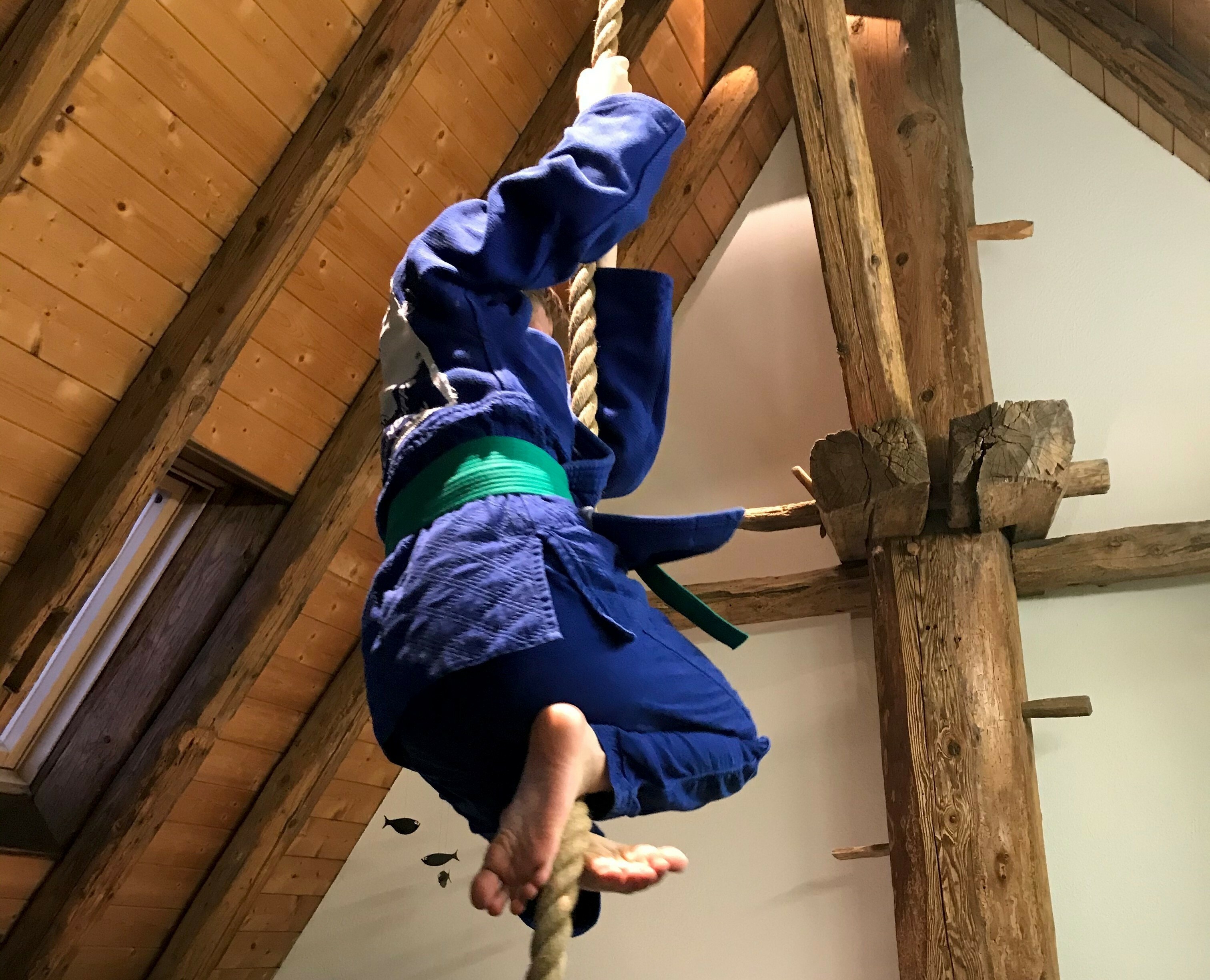 Seilklettern im Badezimmer? Die Judokas des VfL Sindelfingen machen möglich, was sich komplett verrückt anhört.Bild: z