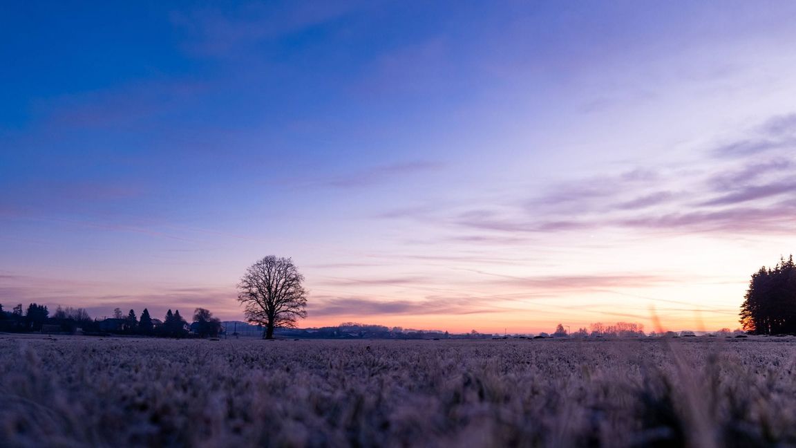 Am Wochenende wird es in Baden-Württemberg frostig.
